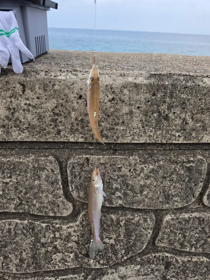 첨부 사진 1/1